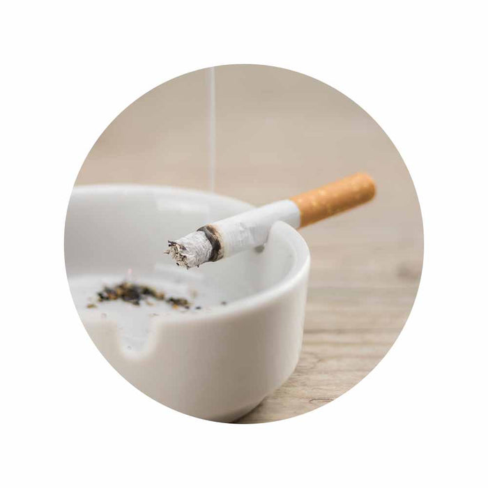 Geruchsneutralisation Airomex®AT «Tabak und Rauch» | mit Bio-Duft